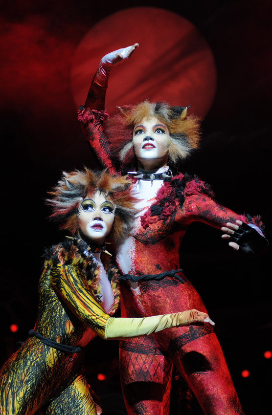 Cats The Musical The Opera House Manchester