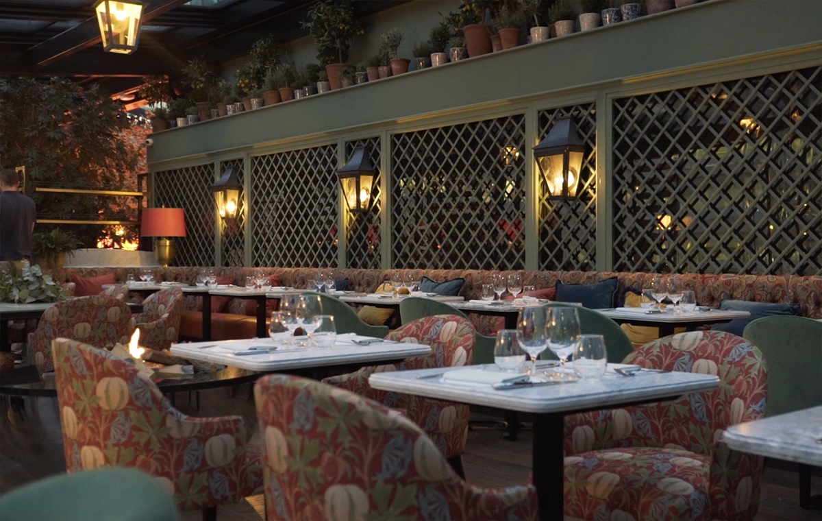 An Exclusive First Look Video Inside The Ivy
