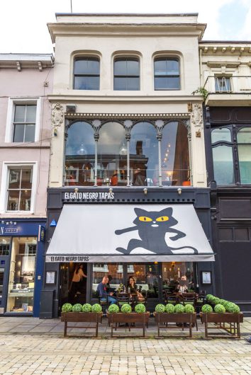 El Gato Negro takes Newcomer of the Year at MFDF Awards