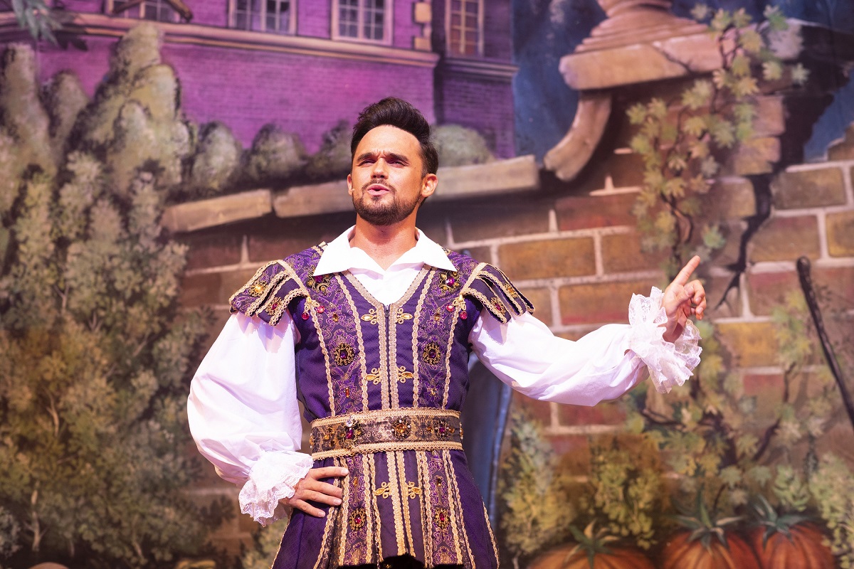 cinderella pantomime costumes