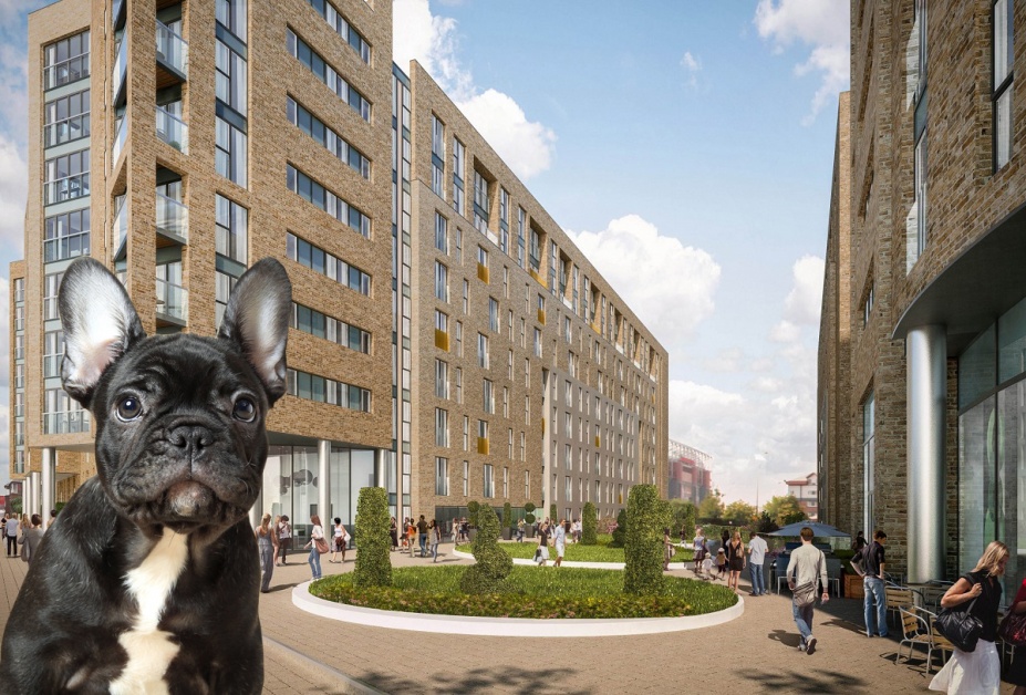 Photo inspiration: Picture Idea: Top 6 Pet Friendly Apartment Buildings In Manchester