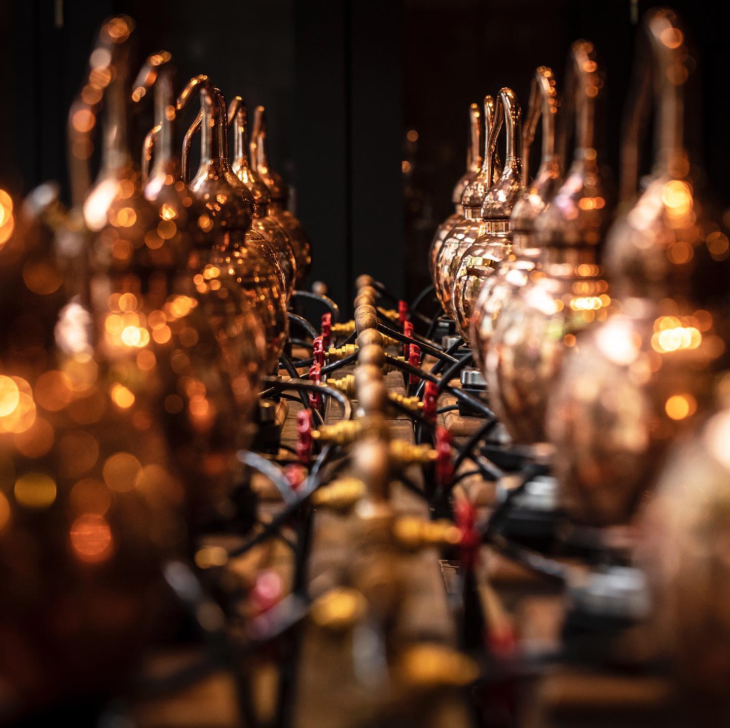 Manchester Gin to Host World’s Biggest Gin Tasting Event Manchester’s