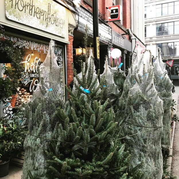 Get Festive Wreath Making Kits at Home from the Northern Quarter's