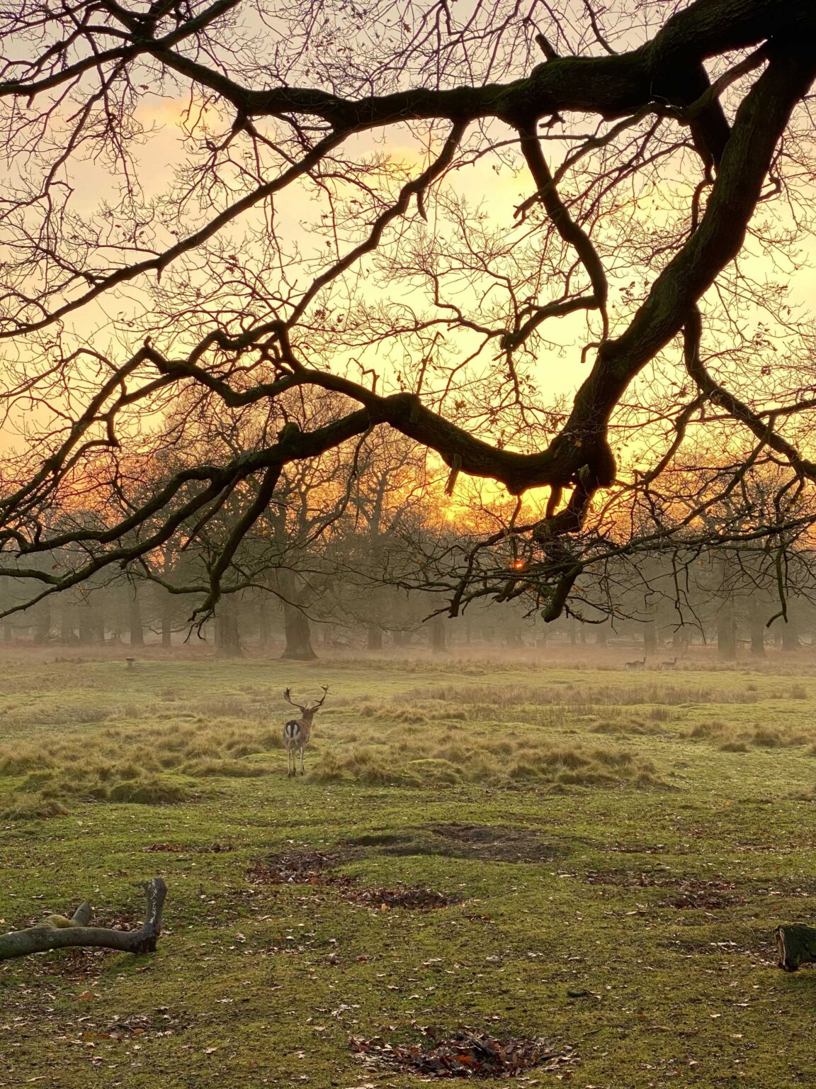 Weekend Walks Dunham Massey
