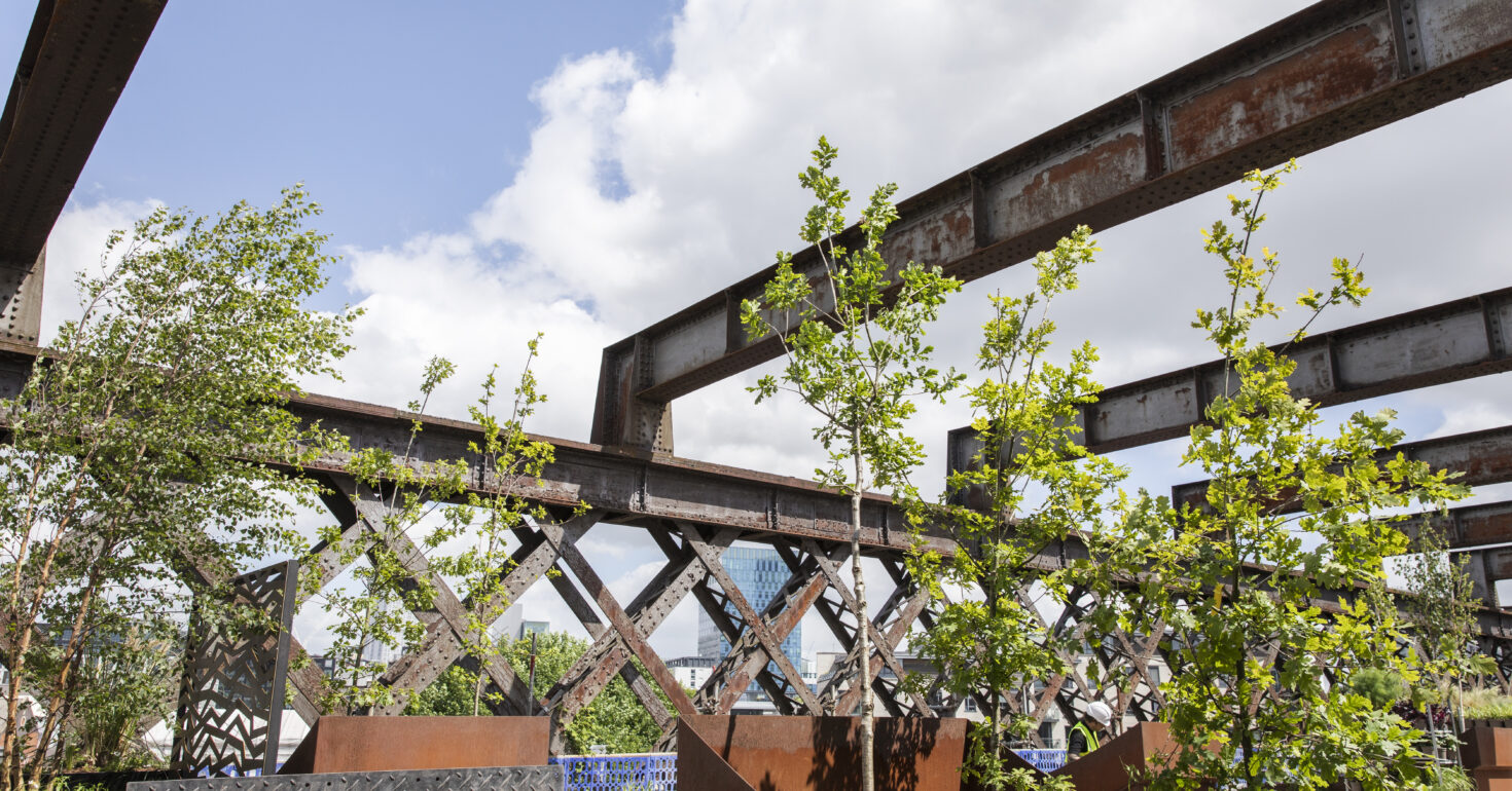 Castlefield Viaduct Planting - 10 June 2022