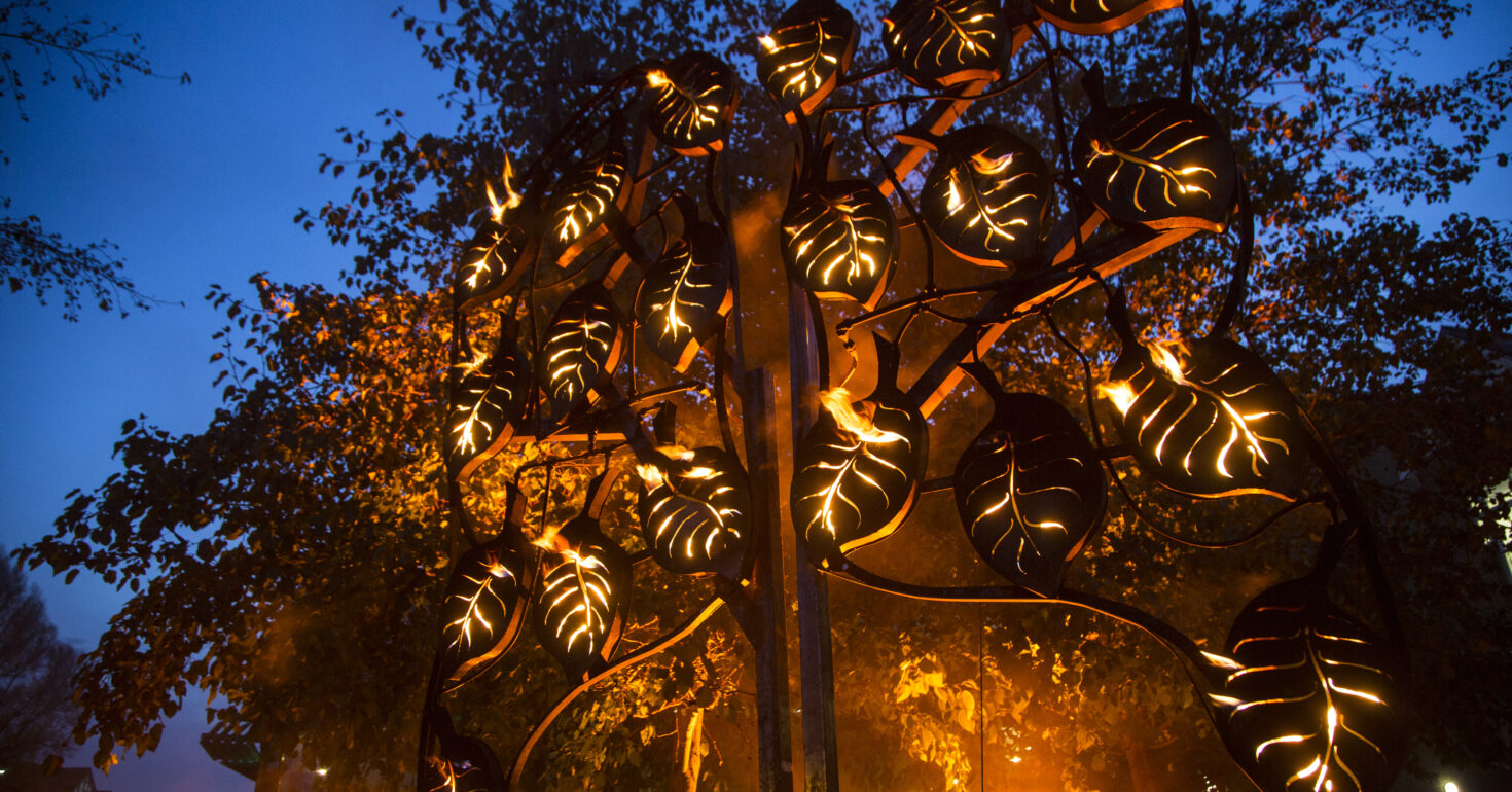 (Credit: Vipul Sangoi)