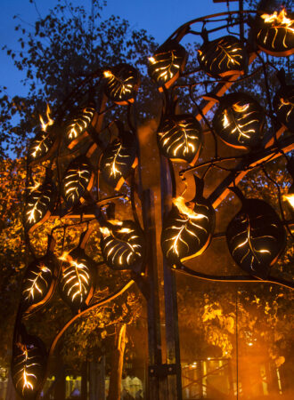 (Credit: Vipul Sangoi)