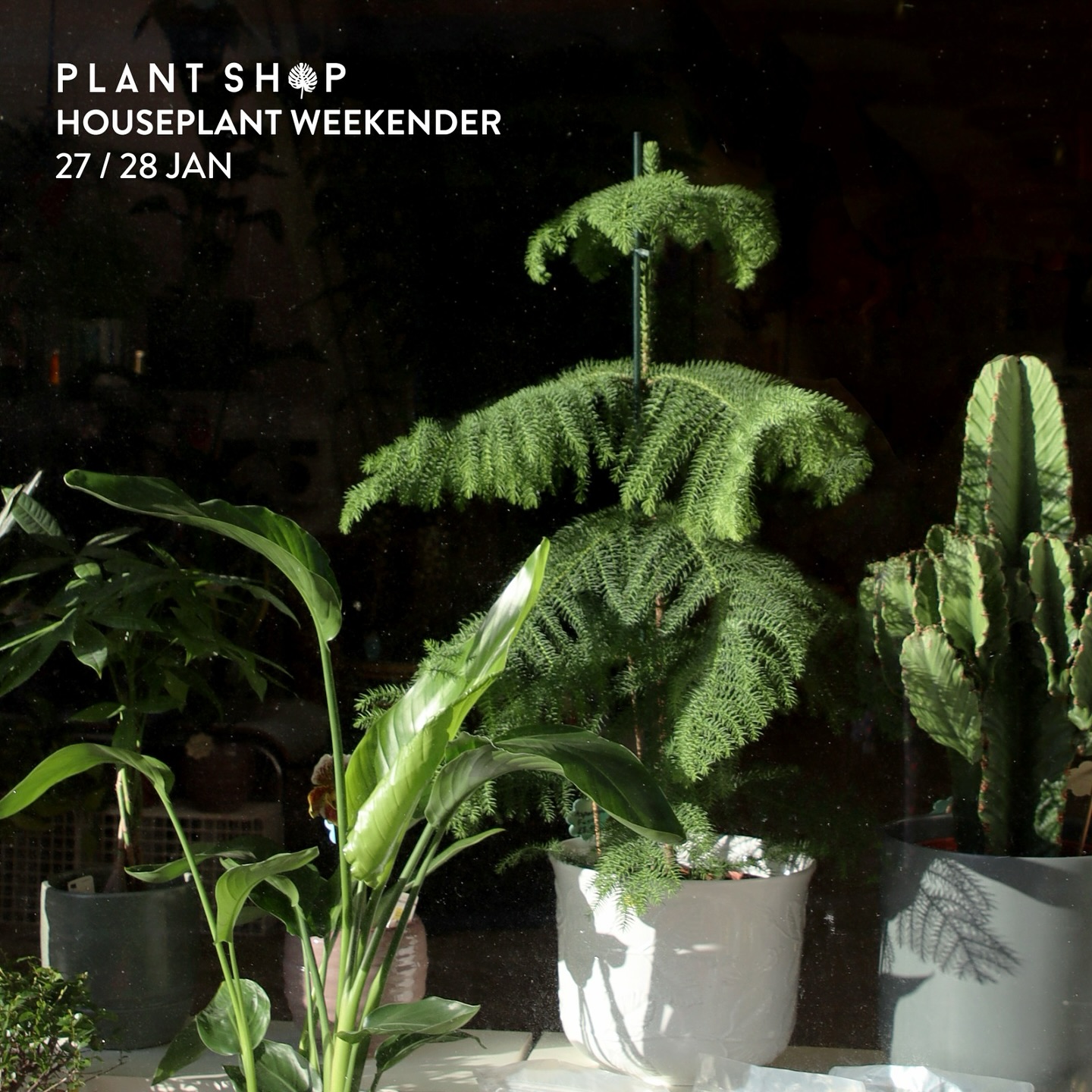 Plant Shop Houseplant Weekender Manchester’s Finest
