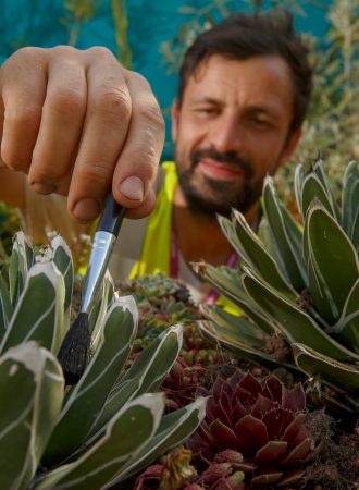Garden designer Tom Wilkes-Rios dusts between leaves of succulents on his balcony garden 'The Blue Garden', during build-up of the RHS Chelsea Flower Show 2022, Thursday May 19, 2022. The show returns for the first time in spring for three years and opens to the public May 24...RHS / Luke MacGregor