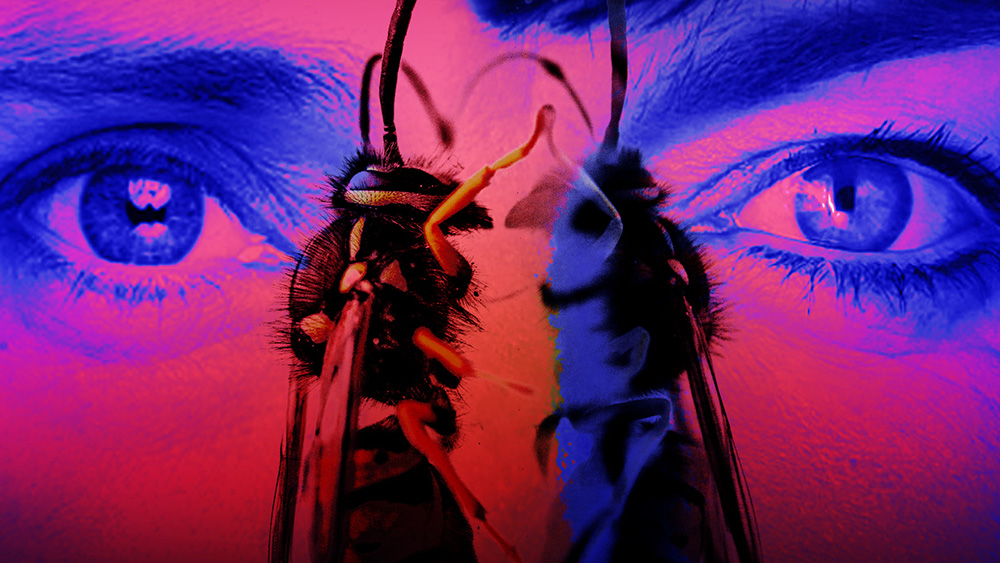 the wasp chorlton