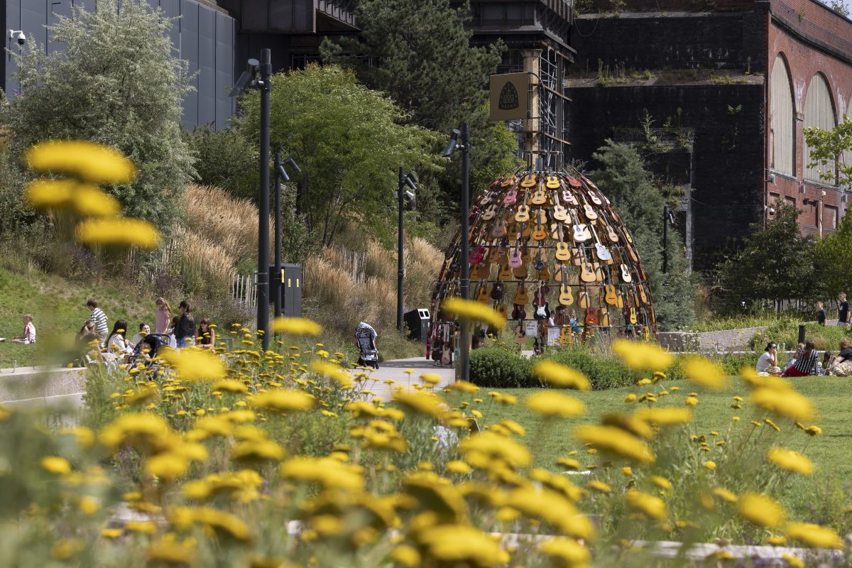 Music For The Senses