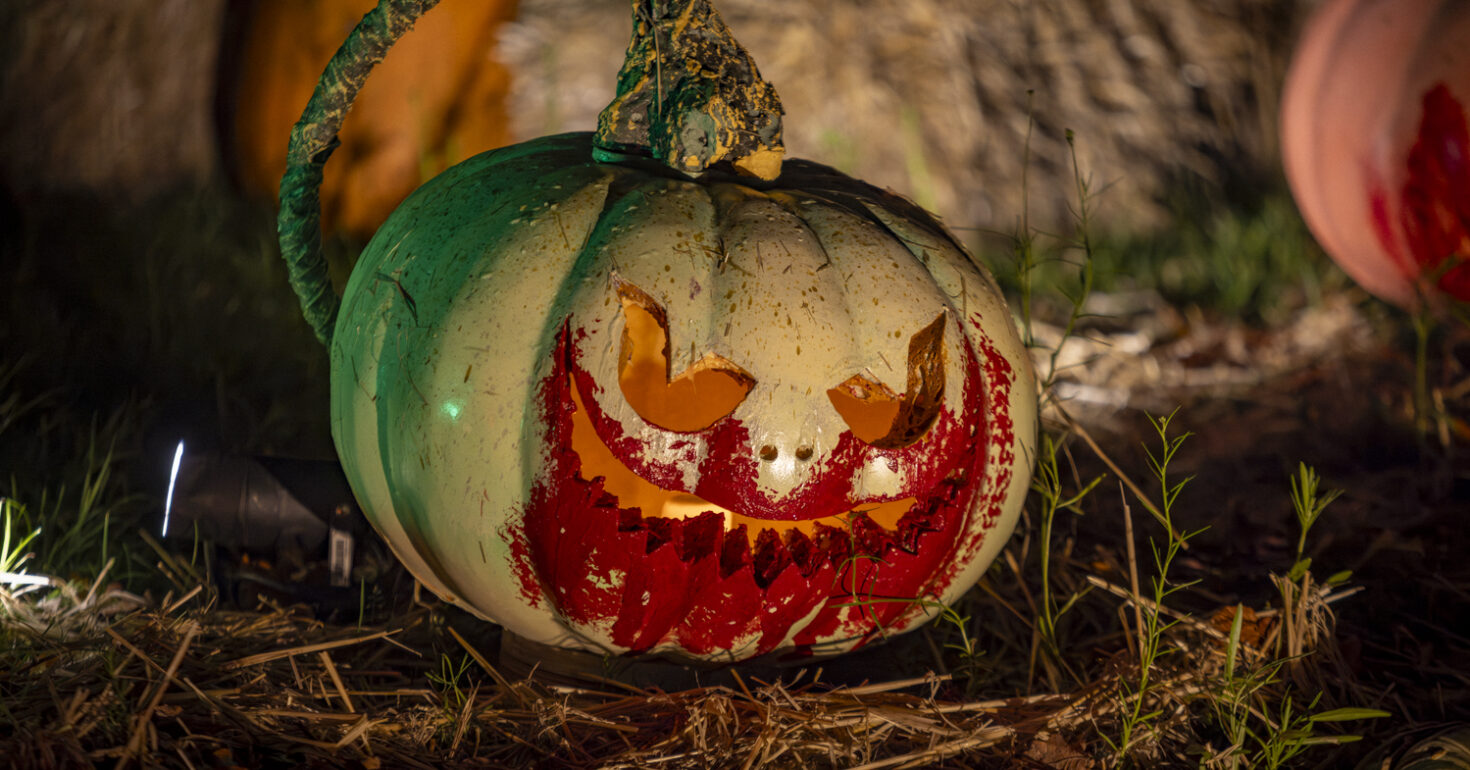 (Credit: Andrew Ogilvy)