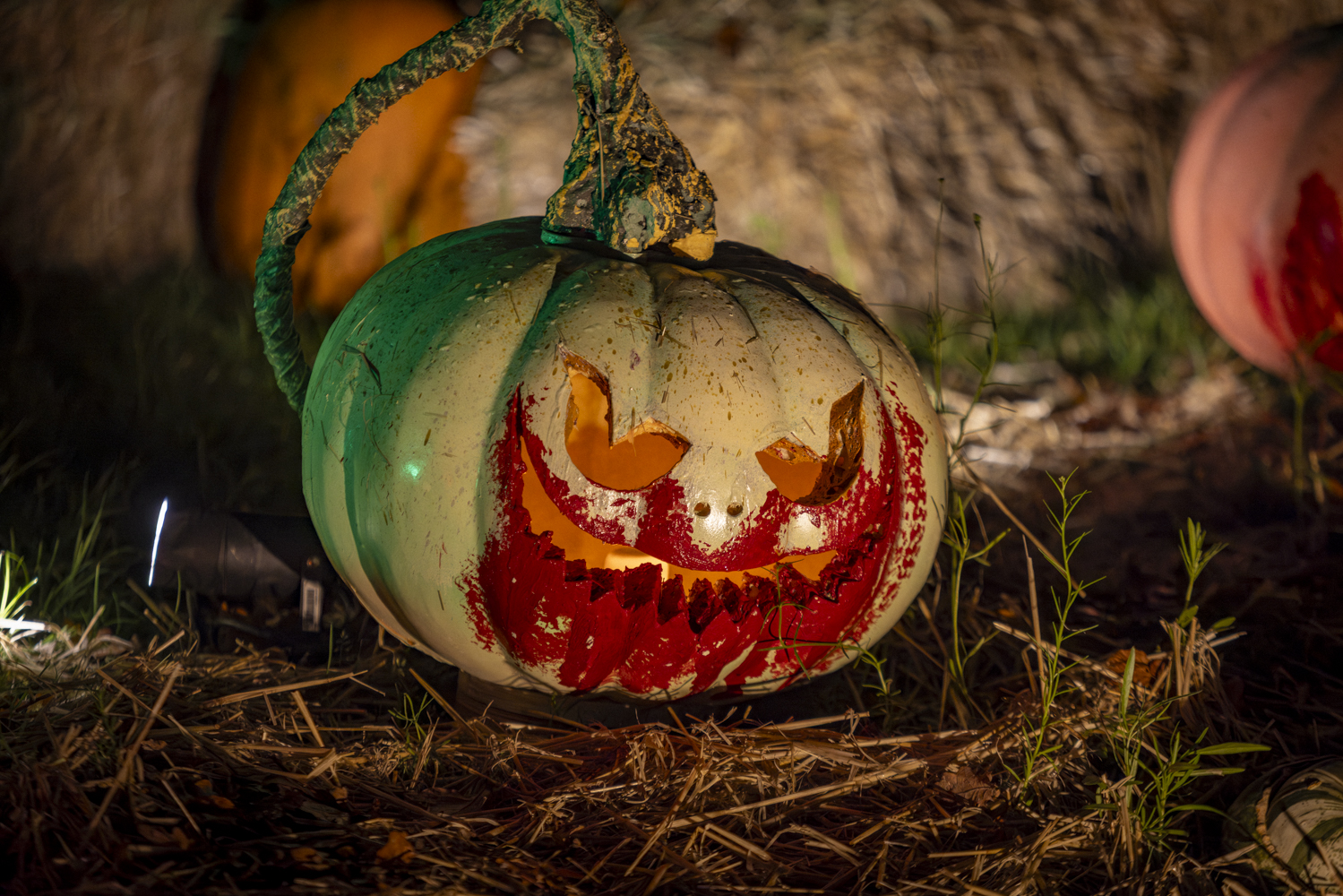 (Credit: Andrew Ogilvy)