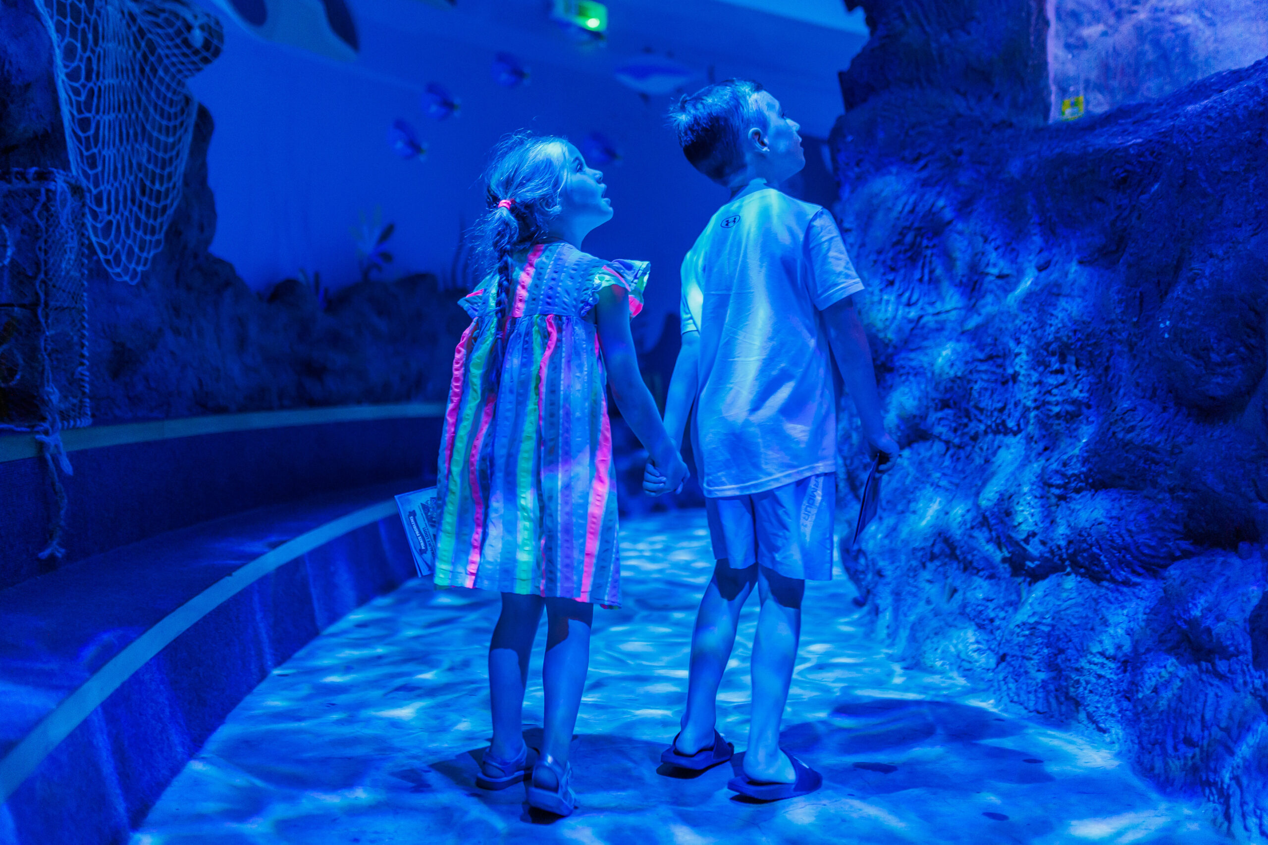 Easter at SEALIFE
