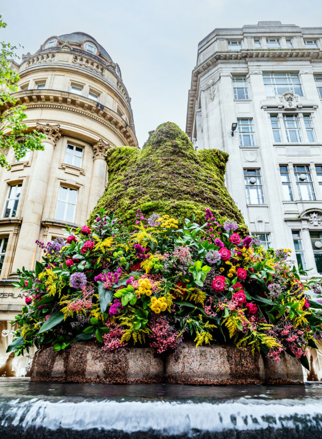 (Credit: Carl Sukonik)