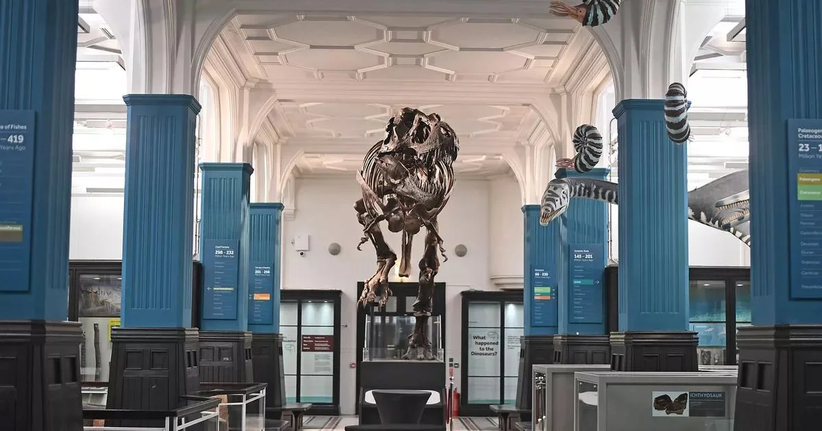 Stan Manchester Museum