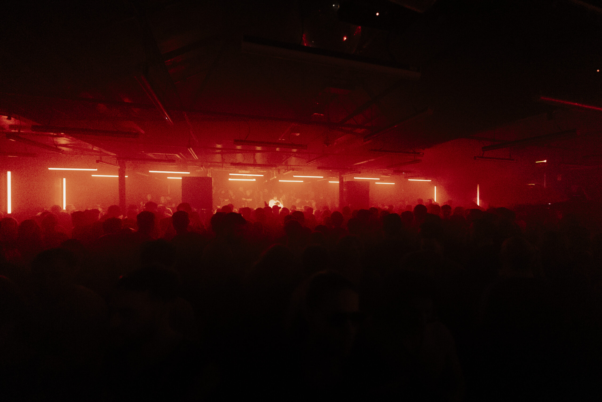 Sankeys