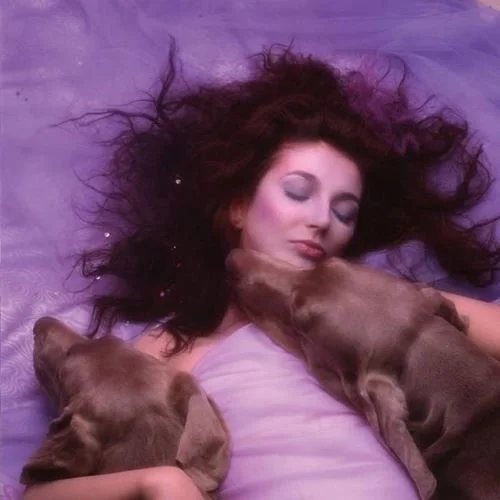 An Evening of Kate Bush